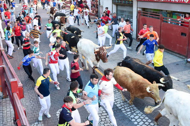 Seventh bull run of the San Sebastián de los Reyes festival in Madrid. Runners during the seventh bull run of the San Sebastián de los Reyes festival, featuring bulls from the Juan Pedro Domecq and Álvaro Núnez ranches, on August 30, 2026, in San Sebastián de los Reyes, Madrid, Spain. This is one of the most iconic events of the patron saint festivities in honor of the Santísimo Cristo de los Remedios. The route is 820 meters long and runs from the pens to the bullring, bringing together thousands of runners and spectators. During these days, there is also a nighttime bull run, bull releases, contests, and visits to the pens to see the bulls before the races. AUGUST 30, 2026 BULLS LOCAL FESTIVITIES San Sebastián de los Reyes, Madrid San Se Copyright: xGustavoxValientex 7738333