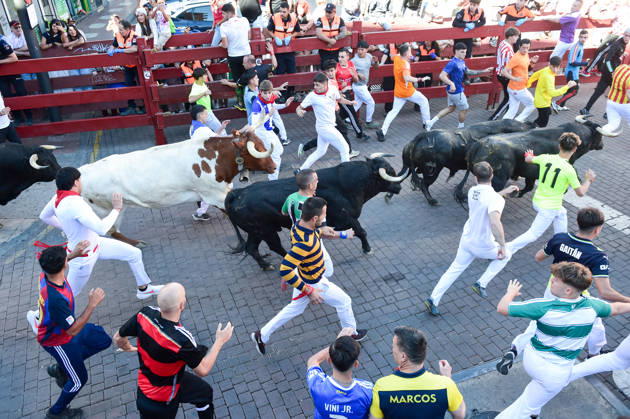 Seventh bull run of the San Sebastián de los Reyes festival in Madrid. Runners during the seventh bull run of the San Sebastián de los Reyes festival, featuring bulls from the Juan Pedro Domecq and Álvaro Núnez ranches, on August 30, 2026, in San Sebastián de los Reyes, Madrid, Spain. This is one of the most iconic events of the patron saint festivities in honor of the Santísimo Cristo de los Remedios. The route is 820 meters long and runs from the pens to the bullring, bringing together thousands of runners and spectators. During these days, there is also a nighttime bull run, bull releases, contests, and visits to the pens to see the bulls before the races. AUGUST 30, 2026 BULLS LOCAL FESTIVITIES San Sebastián de los Reyes, Madrid San Se Copyright: xGustavoxValientex 7738335