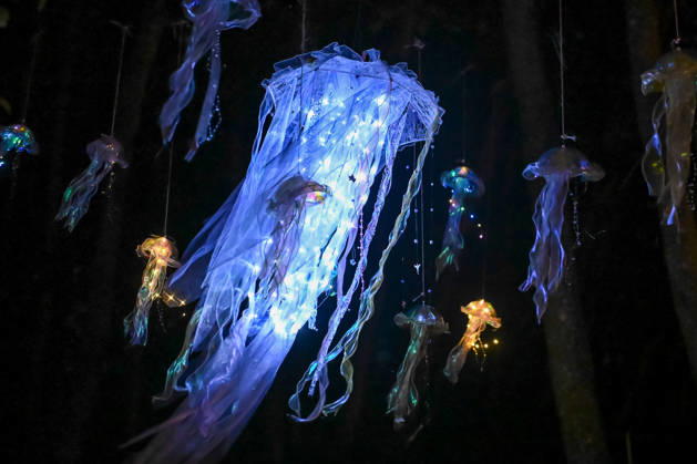 (260830) -- IDA-VIRU, Aug. 30, 2026 -- This photo taken on Aug. 29, 2026 shows illuminated jellyfish-like decorations during the Magic Forest charity event for animals held at Paite Loomapark in Ida-Viru County, northeastern Estonia, Aug. 29, 2026. (Photo by Xinhua) ESTONIA-IDA-VIRU-CHARITY EVENT SergeixStepanov 