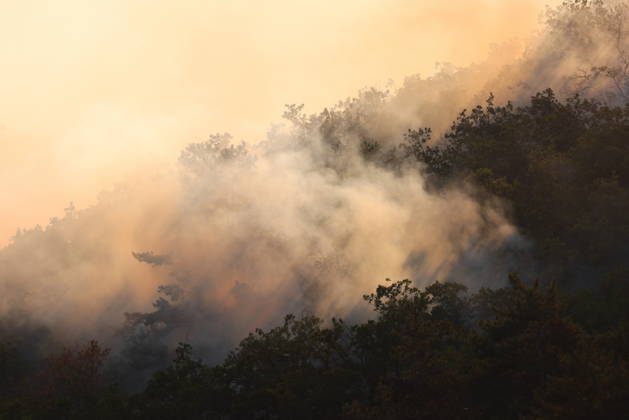 RUSSIA, REPUBLIC OF CRIMEA - AUGUST 30, 2026: Smoke billows from a burning forest on the slopes of the Chishma-Kaya Plateau in the vicinity of Mangul-Kale in the Bakhchisarai District. Maxim Churusov TASS  96853516