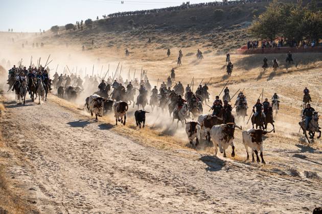 Traditional bull runs begin in CuÃ llar, Spain CUELLAR, SEGOVIA, SPAIN, AUGUST 30, 2026: Bulls and horsemen descend from the hills during the start of the traditional bull runs in CuÃ llar, Segovia. The town™s bull-running festivities are considered among the oldest of their kind in Spain, with historical records dating back to the 13th century. CuÃ llar Spain Copyright: x xVictorxSanjuanxCardenax xJNAxPressx