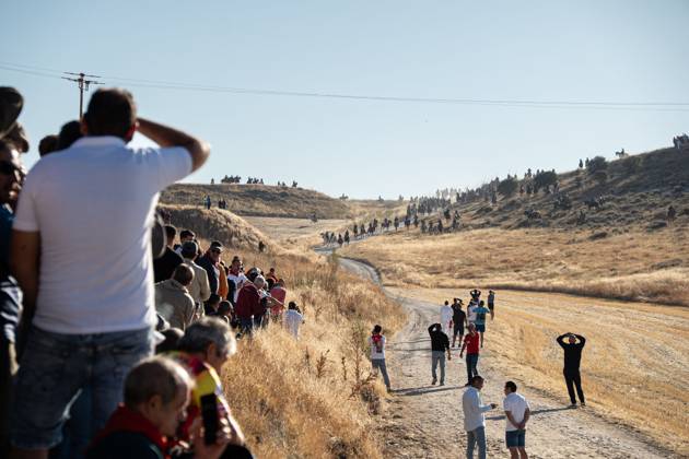 Traditional bull runs begin in CuÃ llar, Spain CUELLAR, SEGOVIA, SPAIN, AUGUST 30, 2026: Bulls and horsemen descend from the hills during the start of the traditional bull runs in CuÃ llar, Segovia. The town™s bull-running festivities are considered among the oldest of their kind in Spain, with historical records dating back to the 13th century. CuÃ llar Spain Copyright: x xVictorxSanjuanxCardenax xJNAxPressx