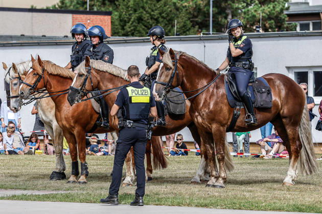 75th Anniversary of the Federal Police: Community Festival Hosted by the Hanover Federal Police Headquarters; Demonstration of service horses from the Hanover Police Mounted Unit and their training; Hanover Federal Police Headquarters, Lower Saxony, Hanover Region, Germany