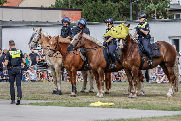 75th Anniversary of the Federal Police: Community Festival Hosted by the Federal Police Headquarters in Hannover; Demonstration of service horses from the Hannover Police Mounted Unit and their training; Training with various flags; Acclimating the horses to flags; Hannover Federal Police Headquarters, Lower Saxony, Hannover Region, Germany