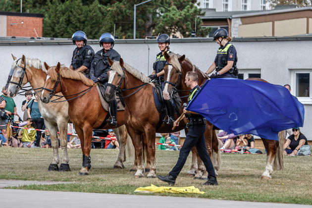 75th Anniversary of the Federal Police: Community Festival Hosted by the Federal Police Headquarters in Hannover; Demonstration of service horses from the Hannover Police Mounted Unit and their training; Training with various flags; Acclimating the horses to flags; Hannover Federal Police Headquarters, Lower Saxony, Hannover Region, Germany