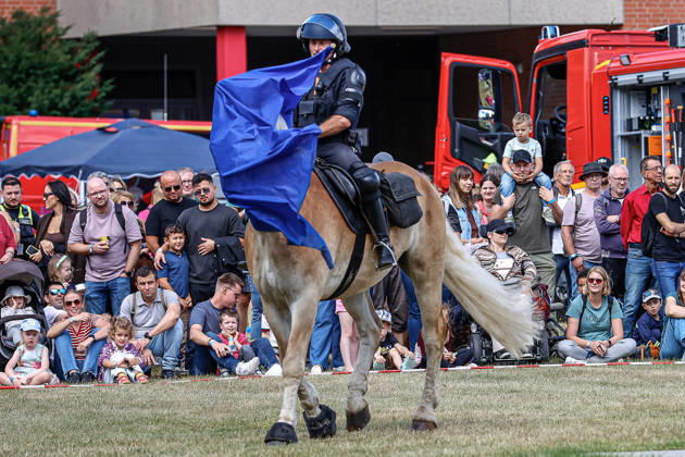 75th Anniversary of the Federal Police: Community Festival Hosted by the Federal Police Headquarters in Hannover; Demonstration of service horses from the Hannover Police Mounted Unit and their training; Training with various flags; Acclimating the horses to flags; Hannover Federal Police Headquarters, Lower Saxony, Hannover Region, Germany