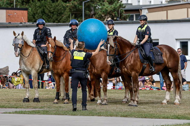 75th Anniversary of the Federal Police: Community Festival Hosted by the Hanover Federal Police Headquarters; Demonstration of service horses from the Hanover Police Mounted Unit and their training; training and acclimatization to thrown balls; Hanover Federal Police Headquarters, Lower Saxony, Hanover Region, Germany
