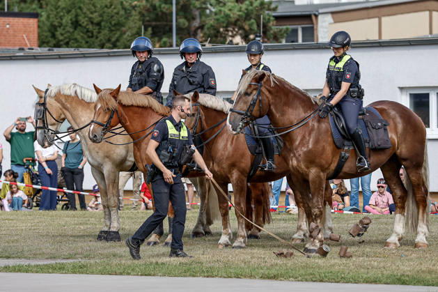 75th Anniversary of the Federal Police: Community Festival Hosted by the Federal Police Headquarters in Hanover; Demonstration of service horses from the Hanover Police Mounted Unit and their training; Training with empty and tied-together rattling cans; Hanover Federal Police Headquarters, Hanover, Lower Saxony, Hanover Region, Germany