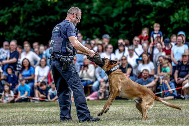 75th Anniversary of the Federal Police: Community Festival Hosted by the Federal Police Headquarters in Hannover; Service Dog Demonstration Featuring Clint; Demonstration of Clint s Biting Power; Federal Police Headquarters in Hannover, Lower Saxony, Hannover Region, Germany