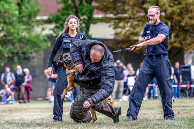 75 Years of the Federal Police: Community Festival Hosted by the Federal Police Headquarters in Hanover; Police Dog Demonstration by Clint; The police dog subdues an attacking suspect; Hanover Federal Police Headquarters, Hanover, Lower Saxony, Hanover Region, Germany