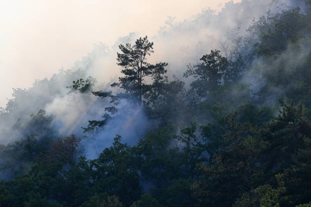 RUSSIA, REPUBLIC OF CRIMEA - AUGUST 30, 2026: Smoke billows from a burning forest on the slopes of the Chishma-Kaya Plateau in the vicinity of Mangul-Kale in the Bakhchisarai District. Maxim Churusov TASS  96853491
