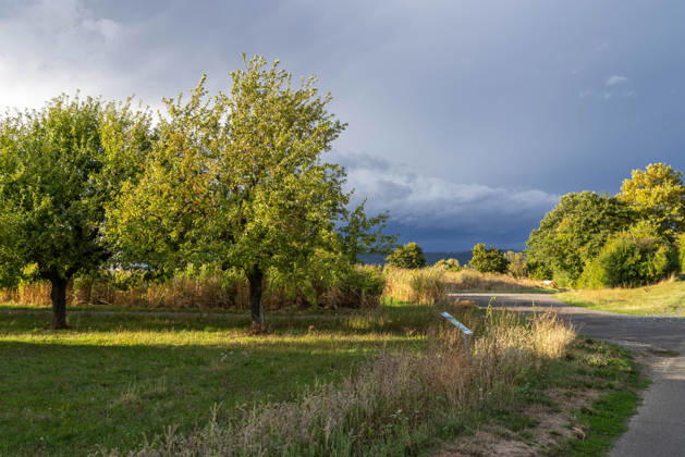 Showery weather in late summer: Dark shower clouds can be seen in the evening sky, Oberursel, Hesse, Germany