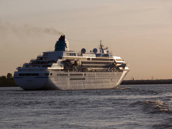 MS Amadea Das 1991 gebaute Kreuzfahrtschiff Amadea fährt auf der Elbe bei Wedel in den Sonnenuntergang (License=RM) Copyright: xZoonar.com GunnarxRiesx 882045