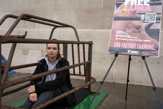 End Factory Farming in London, UK - 02 Sep 2026 Animal rights activist, Michelle Farnham looks into the camera as she spends her second day in the cage outside the National Gallery at the Trafalgar Square in London. Animal Rising organisation staged a campaign for three weeks with a supporter Michelle Farnham who will live, eat and sleep in a pig farrowing crate at the Trafalgar Square in London, UK. Animal Rising organisation campaigns to end factory farming by 2040 because of the animal cruelties and serious health issues of the animals in these farms. Also the health affect at nearby population around these farms. London United Kingdom Copyright: xKrisztianxElekx xSOPAxImagesx SSS_20260902_FREE_LUNA_0011005011
