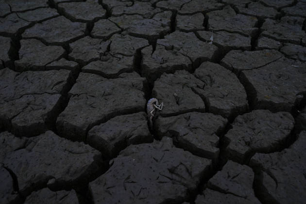 News Bilder des Tages Dry reservoirs signal growing water crisis in Colombia’s Facatativa FACATATIVA, COLOMBIA - SEPTEMBER 4: A dead lobster lies on the dried-out bed of a reservoir in Facatativa, Cundinamarca, Colombia, on September 4, 2026. Prolonged dry conditions have drastically reduced water levels in the municipality’s reservoirs, threatening aquatic life as the region faces a growing water shortage. Facatativá has declared an orange alert and introduced water rationing measures following months of limited rainfall. Juancho Torres Anadolu Facatativa Colombia. Editorial use only. Please get in touch for any other usage.  Copyright: x2026xAnadoluxJuanchoxTorresx