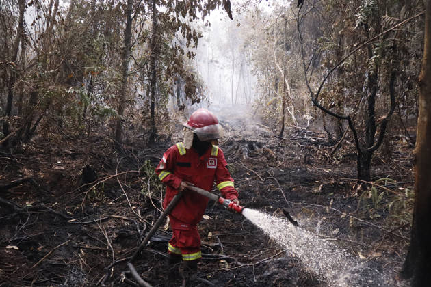 Forest and Peatland Fire in Ogan Ilir, South Sumatra Manggala Agni firefighters work to extinguish a forest and peatland fire in Kebun Raya Sriwijaya, North Inderalaya, Ogan Ilir, South Sumatra, Indonesia, on September 5, 2026. South Sumatra Indonesia  Copyright: xSigitxPrasetyax originalFilename: prasetya-notitle260905_np0Qw.jpg