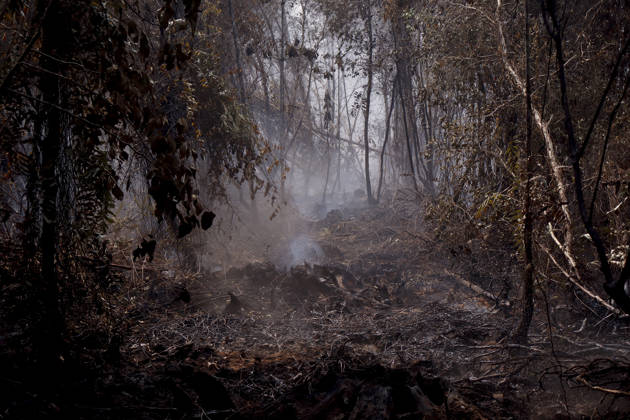 Forest and Peatland Fire in Ogan Ilir, South Sumatra Smoke rises from a forest and peatland fire at Kebun Raya Sriwijaya in North Inderalaya, Ogan Ilir, South Sumatra, Indonesia, on September 5, 2026. South Sumatra Indonesia  Copyright: xSigitxPrasetyax originalFilename: prasetya-notitle260905_npdw2.jpg
