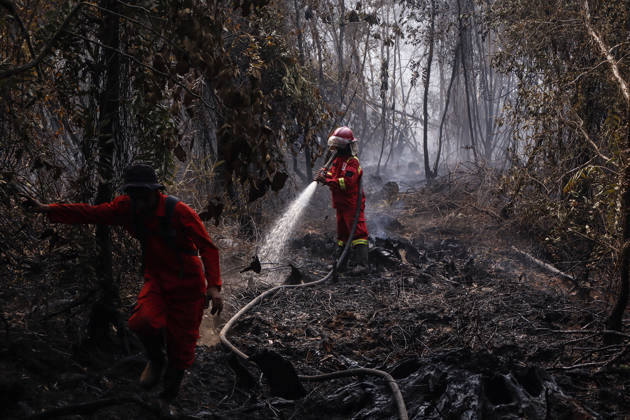 Forest and Peatland Fire in Ogan Ilir, South Sumatra Manggala Agni firefighters work to extinguish a forest and peatland fire in Kebun Raya Sriwijaya, North Inderalaya, Ogan Ilir, South Sumatra, Indonesia, on September 5, 2026. South Sumatra Indonesia  Copyright: xSigitxPrasetyax originalFilename: prasetya-notitle260905_npmCJ