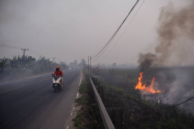 Forest and Peatland Fire in Ogan Ilir, South Sumatra A resident rides a motorcycle through the haze along the Palembang - Inderalaya Highway in South Sumatra, Indonesia, on September 5, 2026. South Sumatra Indonesia  Copyright: xSigitxPrasetyax originalFilename: prasetya-notitle260905_npvWZ.jpg