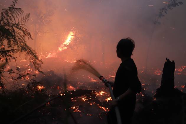 Firefighters Battle Forest Fire at Galeget Tiawu Nature Park, Indonesia PALANGKA RAYA, CENTRAL KALIMANTAN, INDONESIA SEPTEMBER 6, 2026: A team from the Central Kalimantan Natural Resources Conservation Agency (BKSDA) battles a forest fire at Galeget Tiawu Nature Park in Palangka Raya, Central Kalimantan, Indonesia.The BKSDA team continues to extinguish the fire from morning until night, particularly in the conservation area. Palangka Raya Indonesia Copyright: x xJNAxEDITORx xJNAxPressx