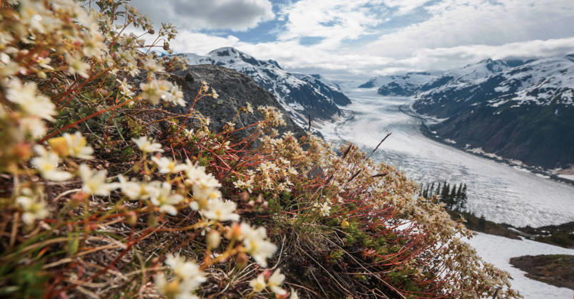 Creative Highlights World Bergwiese am sonnigen Tag. Naturschöne Sommerlandschaft. Mountain meadow in sunny day. Natural summer landscape. (License=RF) Copyright: xZoonar.com GalynaxAndrushkox 25530080
