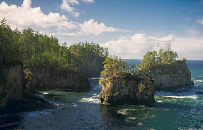 Creative Highlights World Forested cliffs along the rugged pacific northwest coast Neah Bay, Washington, United States CR_KWTG260826-2112089-01 ,model released, Symbolfoto ,property released