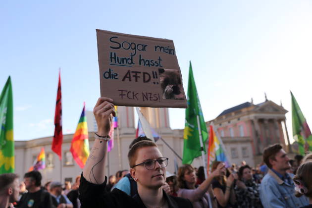 A protester holding a sign reading Even my dog hates the AfD FCK NZS during a rally against the Alternative for Germany (AfD) party following its victory in the state election in Saxony-Anhalt, Alter Markt, Potsdam, September 7, 2026. Rally against the AfD in Potsdam