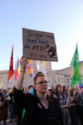 A protester holding a sign reading Even my dog hates the AfD FCK NZS during a rally against the Alternative for Germany (AfD) party following its victory in the state election in Saxony-Anhalt, Alter Markt, Potsdam, September 7, 2026. Rally against the AfD in Potsdam