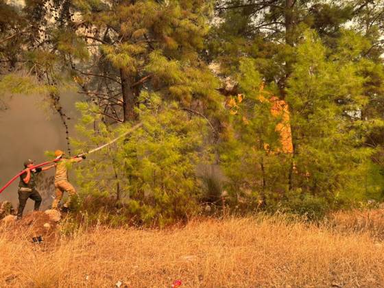 Firefighting continues against forest fire in Antalya ANTALYA, TURKIYE - SEPTEMBER 8: Firefighting teams work from the air and ground to extinguish a forest fire that broke out in Kumluca district and spread across a wide area in Antalya, Turkiye, on September 8, 2026. Mehmet Cakmak Anadolu Antalya Turkey. Editorial use only. Please get in touch for any other usage.  Copyright: x2026xAnadoluxMehmetxCakmakx