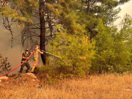 Firefighting continues against forest fire in Antalya ANTALYA, TURKIYE - SEPTEMBER 8: Firefighting teams work from the air and ground to extinguish a forest fire that broke out in Kumluca district and spread across a wide area in Antalya, Turkiye, on September 8, 2026. Mehmet Cakmak Anadolu Antalya Turkey. Editorial use only. Please get in touch for any other usage.  Copyright: x2026xAnadoluxMehmetxCakmakx