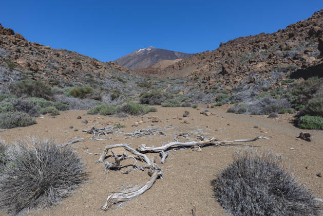Rocks Lava landscape with Verstreuter high mountain at Dry Climate of Teide National parks, about collects itself the distinctive Pico Del Teide, 3,715 m, Teide National Park, Tenerife, Canary Islands, Spain, Europe 1031611235