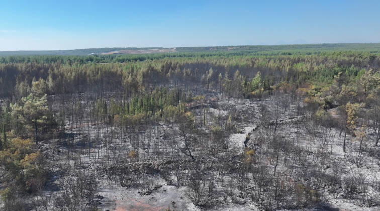 Firefighting efforts continue at the wildfire in Antalya ANTALYA, TURKIYE - SEPTEMBER 9: A view of forest area after wildfire in the Aksu district of Antalya, Turkiye on September 9, 2026. The wildfire spread across a vast area as efforts to bring the blaze under control continue. Orhan Cicek Anadolu Antalya Turkey. Editorial use only. Please get in touch for any other usage.  Copyright: x2026xAnadoluxOrhanxCicekx