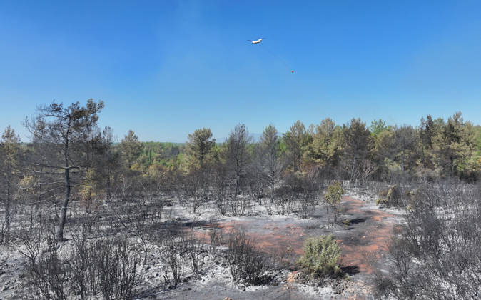 Firefighting efforts continue at the wildfire in Antalya ANTALYA, TURKIYE - SEPTEMBER 9: A view of forest area after wildfire in the Aksu district of Antalya, Turkiye on September 9, 2026. The wildfire spread across a vast area as efforts to bring the blaze under control continue. Orhan Cicek Anadolu Antalya Turkey. Editorial use only. Please get in touch for any other usage.  Copyright: x2026xAnadoluxOrhanxCicekx