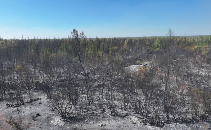 Firefighting efforts continue at the wildfire in Antalya ANTALYA, TURKIYE - SEPTEMBER 9: A view of forest area after wildfire in the Aksu district of Antalya, Turkiye on September 9, 2026. The wildfire spread across a vast area as efforts to bring the blaze under control continue. Orhan Cicek Anadolu Antalya Turkey. Editorial use only. Please get in touch for any other usage.  Copyright: x2026xAnadoluxOrhanxCicekx