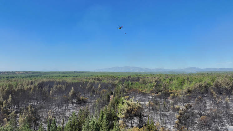 Firefighting efforts continue at the wildfire in Antalya ANTALYA, TURKIYE - SEPTEMBER 9: Firefighters respond to a forest fire both from the air in the Aksu district of Antalya, Turkiye on September 9, 2026. Orhan Cicek Anadolu Antalya Turkey. Editorial use only. Please get in touch for any other usage.  Copyright: x2026xAnadoluxOrhanxCicekx