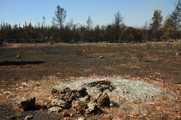 Firefighting efforts continue at the wildfire in Antalya ANTALYA, TURKIYE - SEPTEMBER 9: A view of forest area after wildfire in the Aksu district of Antalya, Turkiye on September 9, 2026. The wildfire spread across a vast area as efforts to bring the blaze under control continue. Orhan Cicek Anadolu Antalya Turkey. Editorial use only. Please get in touch for any other usage.  Copyright: x2026xAnadoluxOrhanxCicekx
