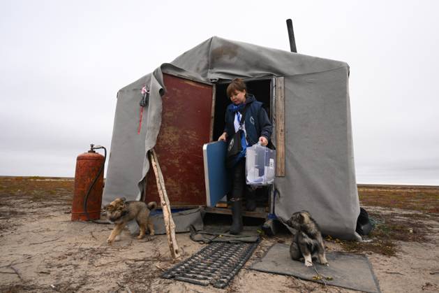 Russia Parliamentary Election Early Voting 9239428 09.09.2026 A member of the local commission carries a mobile ballot box during the early voting in remote areas ahead of State Duma elections at a reindeer camping ground, in Yamalo-Nenets Autonomous Area, Russia. Russians will vote in State Duma, the lower house of parliament, and municipal elections over three days, from September 18-20. Alexandr Kryazhev Sputnik Yamalo-Nenets Autonomous Area Russia  Copyright: xAlexandrxKryazhevx