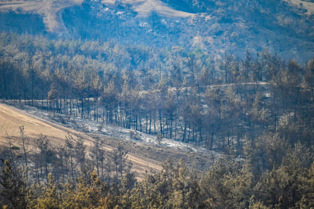 Efforts continue to contain forest fire in Adana ADANA, TURKIYE - SEPTEMBER 10: An aerial view shows areas damaged by a wildfire that started in Kozan district and spread to some neighborhoods in the Imamoglu and Aladag districts of Adana, Turkiye on September 10, 2026, as efforts continue to bring the fire under control. Eren Bozkurt Anadolu Adana Turkey. Editorial use only. Please get in touch for any other usage.  Copyright: x2026xAnadoluxErenxBozkurtx