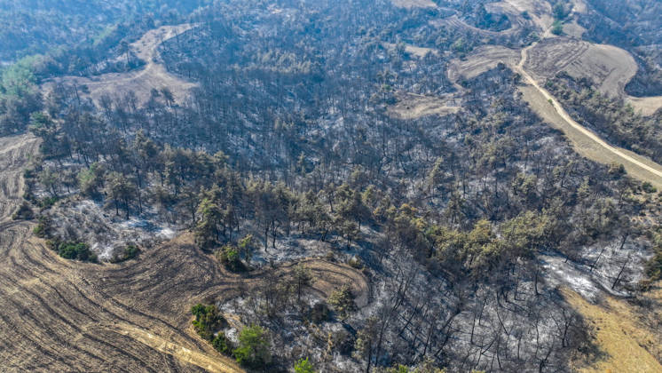 Efforts continue to contain forest fire in Adana ADANA, TURKIYE - SEPTEMBER 10: An aerial view shows areas damaged by a wildfire that started in Kozan district and spread to some neighborhoods in the Imamoglu and Aladag districts of Adana, Turkiye on September 10, 2026, as efforts continue to bring the fire under control. Eren Bozkurt Anadolu Adana Turkey. Editorial use only. Please get in touch for any other usage.  Copyright: x2026xAnadoluxErenxBozkurtx