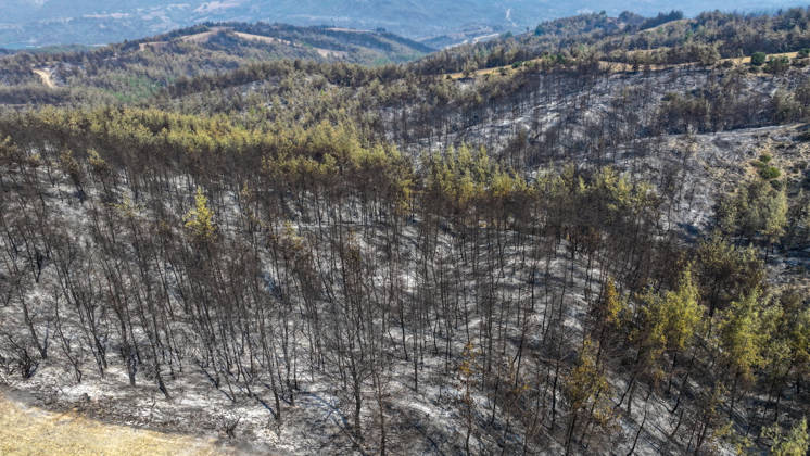 Efforts continue to contain forest fire in Adana ADANA, TURKIYE - SEPTEMBER 10: An aerial view shows areas damaged by a wildfire that started in Kozan district and spread to some neighborhoods in the Imamoglu and Aladag districts of Adana, Turkiye on September 10, 2026, as efforts continue to bring the fire under control. Eren Bozkurt Anadolu Adana Turkey. Editorial use only. Please get in touch for any other usage.  Copyright: x2026xAnadoluxErenxBozkurtx