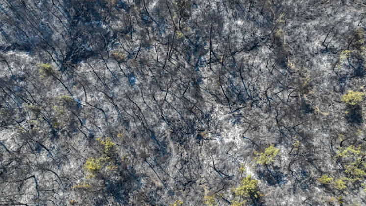 Efforts continue to contain forest fire in Adana ADANA, TURKIYE - SEPTEMBER 10: An aerial view shows areas damaged by a wildfire that started in Kozan district and spread to some neighborhoods in the Imamoglu and Aladag districts of Adana, Turkiye on September 10, 2026, as efforts continue to bring the fire under control. Eren Bozkurt Anadolu Adana Turkey. Editorial use only. Please get in touch for any other usage.  Copyright: x2026xAnadoluxErenxBozkurtx