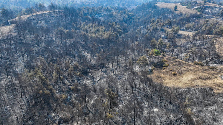 Efforts continue to contain forest fire in Adana ADANA, TURKIYE - SEPTEMBER 10: An aerial view shows areas damaged by a wildfire that started in Kozan district and spread to some neighborhoods in the Imamoglu and Aladag districts of Adana, Turkiye on September 10, 2026, as efforts continue to bring the fire under control. Eren Bozkurt Anadolu Adana Turkey. Editorial use only. Please get in touch for any other usage.  Copyright: x2026xAnadoluxErenxBozkurtx