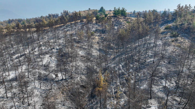 Efforts continue to contain forest fire in Adana ADANA, TURKIYE - SEPTEMBER 10: An aerial view shows areas damaged by a wildfire that started in Kozan district and spread to some neighborhoods in the Imamoglu and Aladag districts of Adana, Turkiye on September 10, 2026, as efforts continue to bring the fire under control. Eren Bozkurt Anadolu Adana Turkey. Editorial use only. Please get in touch for any other usage.  Copyright: x2026xAnadoluxErenxBozkurtx