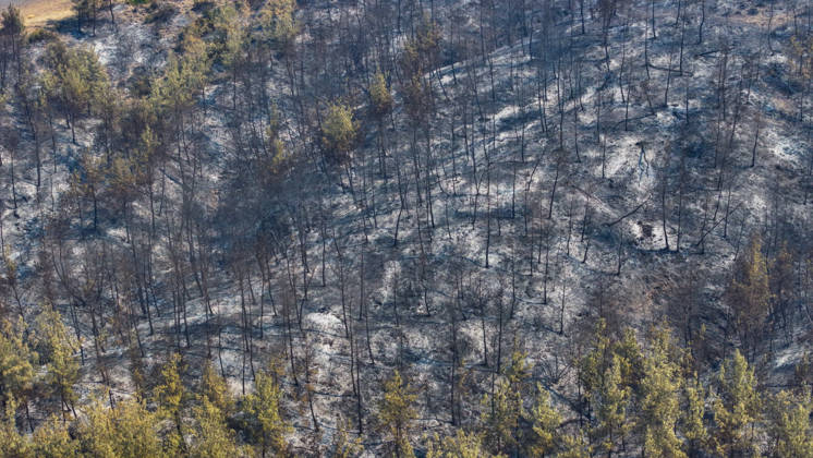 Efforts continue to contain forest fire in Adana ADANA, TURKIYE - SEPTEMBER 10: An aerial view shows areas damaged by a wildfire that started in Kozan district and spread to some neighborhoods in the Imamoglu and Aladag districts of Adana, Turkiye on September 10, 2026, as efforts continue to bring the fire under control. Eren Bozkurt Anadolu Adana Turkey. Editorial use only. Please get in touch for any other usage.  Copyright: x2026xAnadoluxErenxBozkurtx