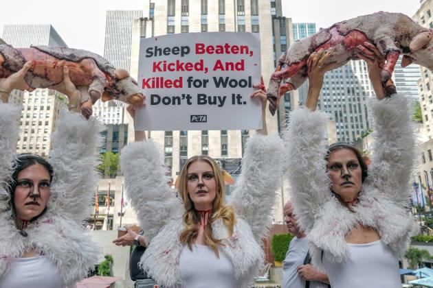News Bilder des Tages September 10, 2026, New York, New York, USA: PETA protests NYFW at Rockefeller Center with a grisly display dressed.as bruised and bloody sheep outside the venue with lifelike dead lambs.and the message Wool Kills . The graphic protest over wool farms cruelty claims .inhumane wool shearing and terrified sheep. New York USA  - ZUMAh156 20260910_znp_h156_002 Copyright: xMiloxHessx