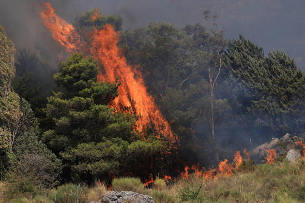 Wildfire near Palermo threatens homes in Giardinello, Sicily PALERMO, ITALY - SEPTEMBER 10: Flames and thick smoke rise from a forested area during a wildfire near Giardinello, close to Palermo on the island of Sicily, on September 10, 2026 in Palermo, Italy. The blaze began in the Carcatizzi area around midday a day earlier and spread rapidly, threatening nearby residential areas and damaging several homes. Firefighters battled the fire from the ground with fire engines and from the air with a firefighting aircraft and two helicopters. Alberto Lo Bianco Anadolu Sicily Italy. Editorial use only. Please get in touch for any other usage.  Copyright: x2026xAnadoluxAlbertoxLoxBiancox