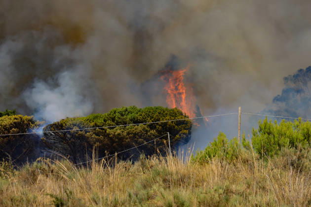 Wildfire near Palermo threatens homes in Giardinello, Sicily PALERMO, ITALY - SEPTEMBER 10: Flames and thick smoke rise from a forested area during a wildfire near Giardinello, close to Palermo on the island of Sicily, on September 10, 2026 in Palermo, Italy. The blaze began in the Carcatizzi area around midday a day earlier and spread rapidly, threatening nearby residential areas and damaging several homes. Firefighters battled the fire from the ground with fire engines and from the air with a firefighting aircraft and two helicopters. Alberto Lo Bianco Anadolu Sicily Italy. Editorial use only. Please get in touch for any other usage.  Copyright: x2026xAnadoluxAlbertoxLoxBiancox