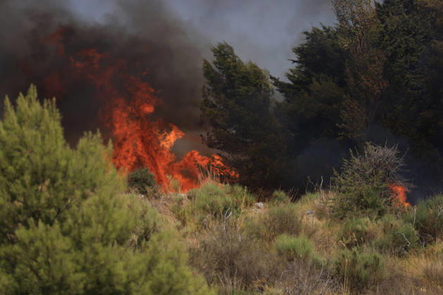 Wildfire near Palermo threatens homes in Giardinello, Sicily PALERMO, ITALY - SEPTEMBER 10: Flames and thick smoke rise from a forested area during a wildfire near Giardinello, close to Palermo on the island of Sicily, on September 10, 2026 in Palermo, Italy. The blaze began in the Carcatizzi area around midday a day earlier and spread rapidly, threatening nearby residential areas and damaging several homes. Firefighters battled the fire from the ground with fire engines and from the air with a firefighting aircraft and two helicopters. Alberto Lo Bianco Anadolu Sicily Italy. Editorial use only. Please get in touch for any other usage.  Copyright: x2026xAnadoluxAlbertoxLoxBiancox