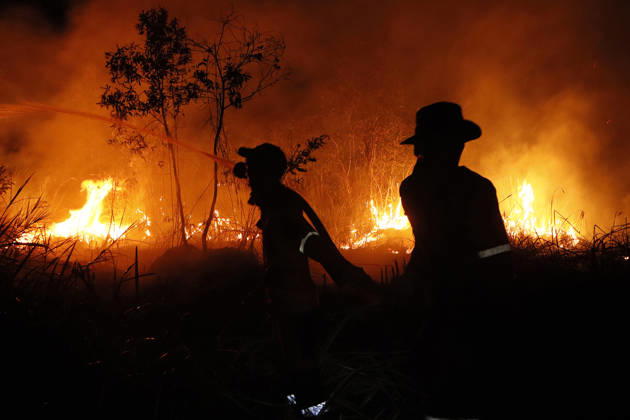 Forest And Peatland Fire In Ogan Ilir, South Sumatra A firefighter from the Ogan Ilir Regional Disaster Management Agency (BPBD) works to extinguish a forest and land fire along the Palembang-Inderalaya highway in Sungai Rambutan, Ogan Ilir Regency, South Sumatra, on September 11, 2026. Ogan Ilir, South Sumatra Indonesia  Copyright: xSigitxPrasetyax originalFilename: prasetya-notitle260911_np3ke