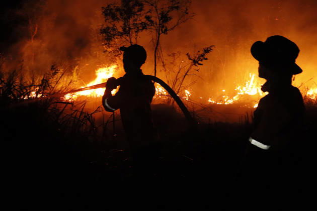 Forest And Peatland Fire In Ogan Ilir, South Sumatra A firefighter from the Ogan Ilir Regional Disaster Management Agency (BPBD) works to extinguish a forest and land fire along the Palembang-Inderalaya highway in Sungai Rambutan, Ogan Ilir Regency, South Sumatra, on September 11, 2026. Ogan Ilir, South Sumatra Indonesia  Copyright: xSigitxPrasetyax originalFilename: prasetya-notitle260911_npHta